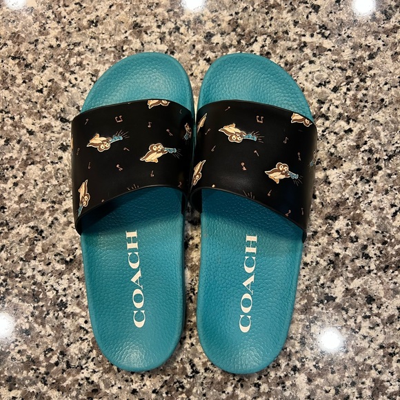 Coach Shoes Coach Udele Sport Pool Slides Musical Owls Blueblack